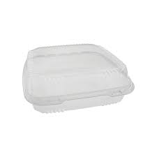 PLASTIC HINGED CONTAINERS