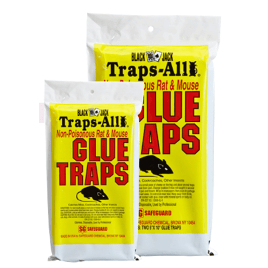 RAT&MOUSE GLUE TRAPS  72/CS
