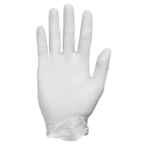 VINYL GLOVES POWDER FREE 1000/CS.